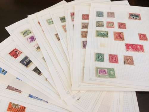 British Commonwealth -  Old collection on 13 pages