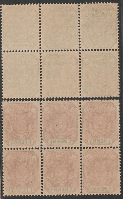 TRANSVAAL - 1896  1/2d and 1d blocks of six **MNH**
