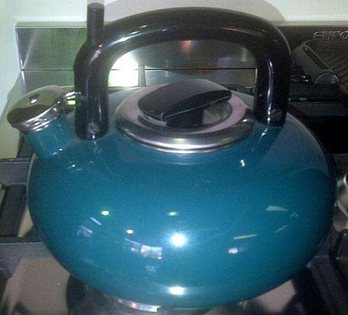 GREEN ENAMEL KETTLE WITH WHISTLE (Suitable for use on gas hobs)