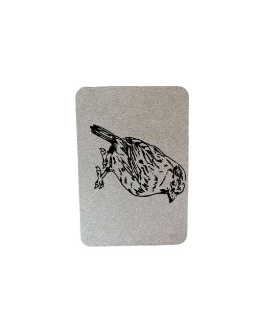Birds Placemat Set