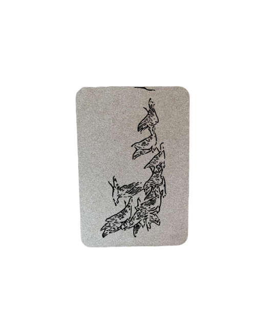 Birds Placemat Set