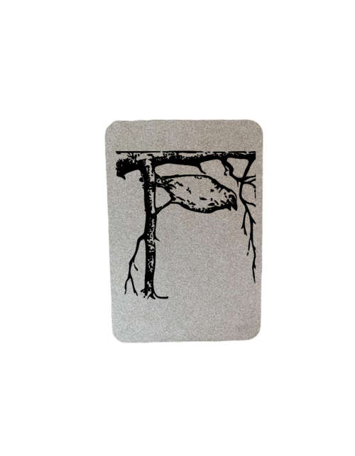 Birds Placemat Set