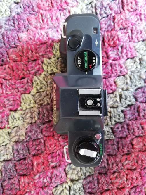Canon T50 SLR Vintage Camera + 50mm Prime Lens