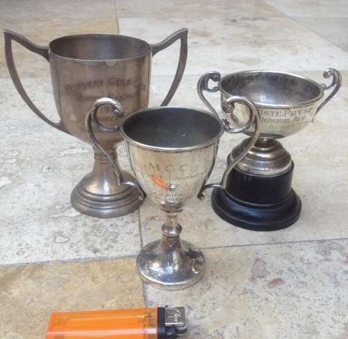 trophy lot of 3
