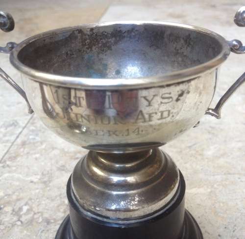 trophy lot of 3