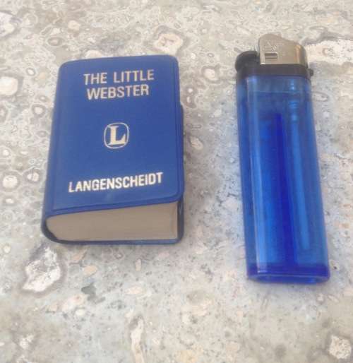 The little Webster dictionary 319 , Langenscheidt