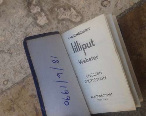The little Webster dictionary 319 , Langenscheidt