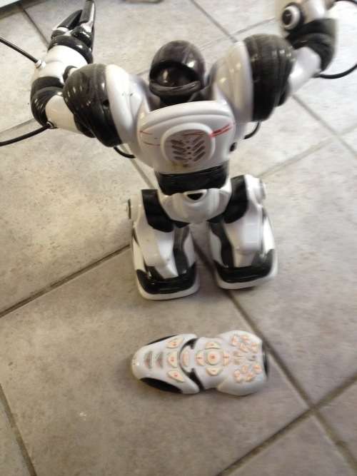 old large robot