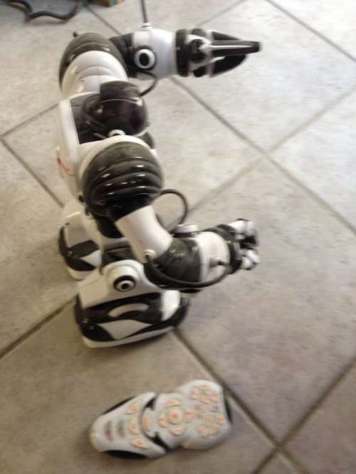old large robot
