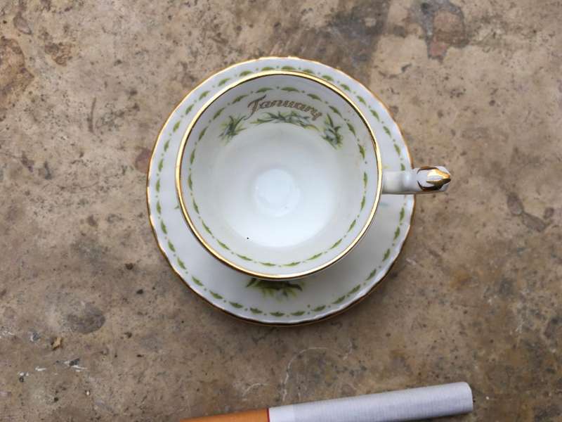 Royal albert , flower of the month , january 1970