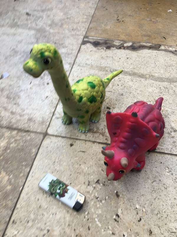 pair of wing crown dinasaur 2007 lot