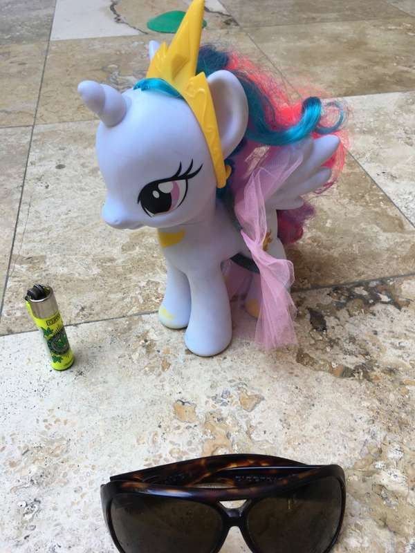 my little Pony 2013 with extras