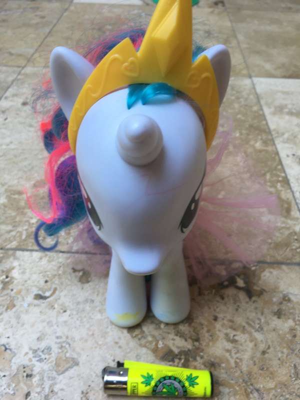 my little Pony 2013 with extras