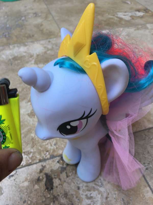 my little Pony 2013 with extras