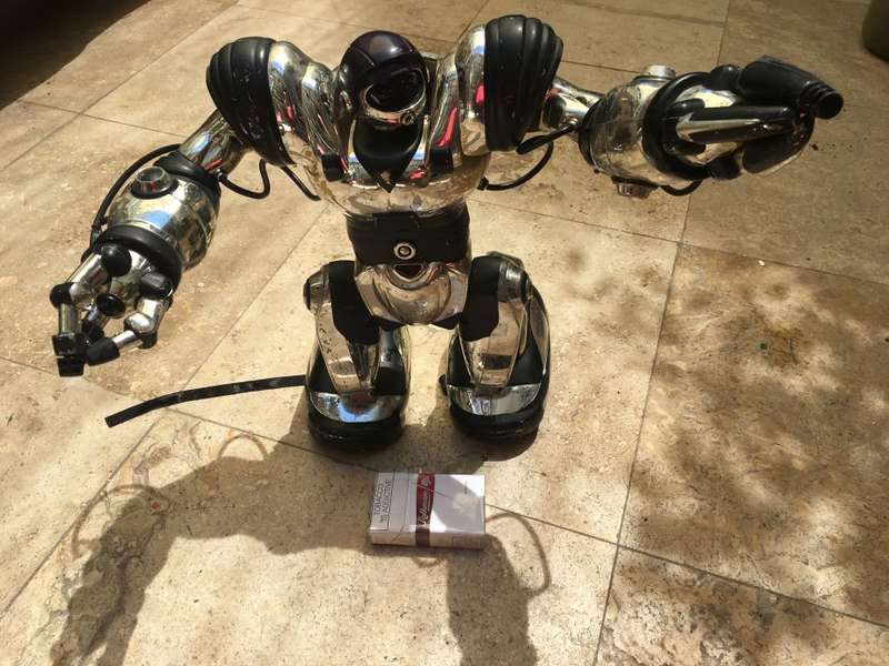 Old mark tilden robot figure