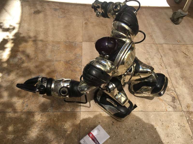 Old mark tilden robot figure