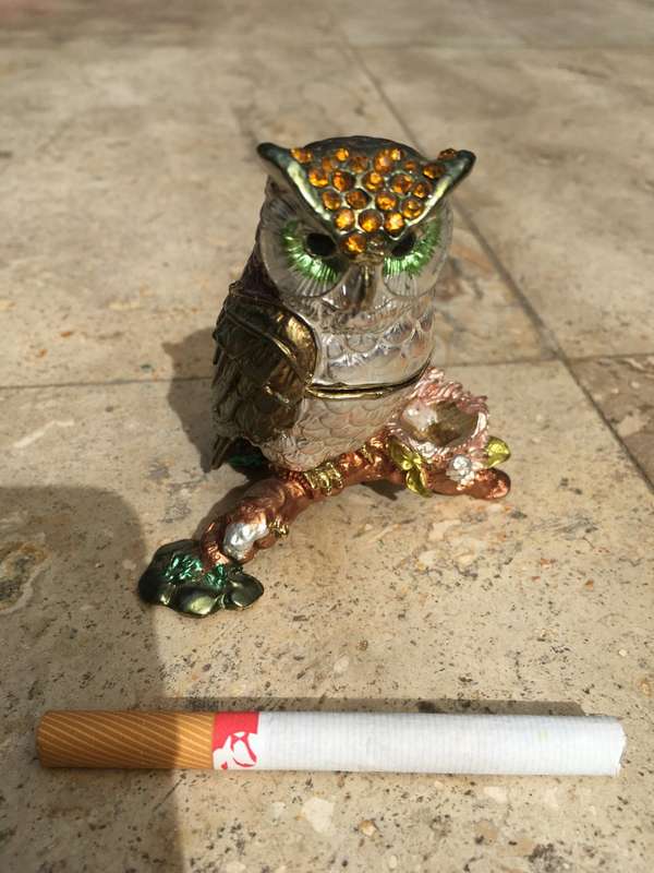 eagle owl trinket box