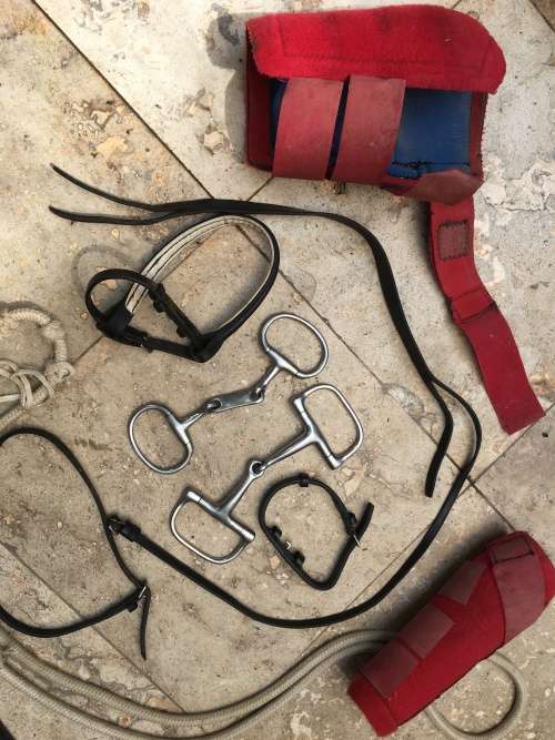 horse pelham bit straps and rope with other stuff for horse or pony