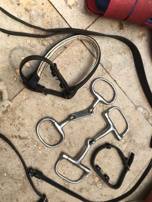 horse pelham bit straps and rope with other stuff for horse or pony