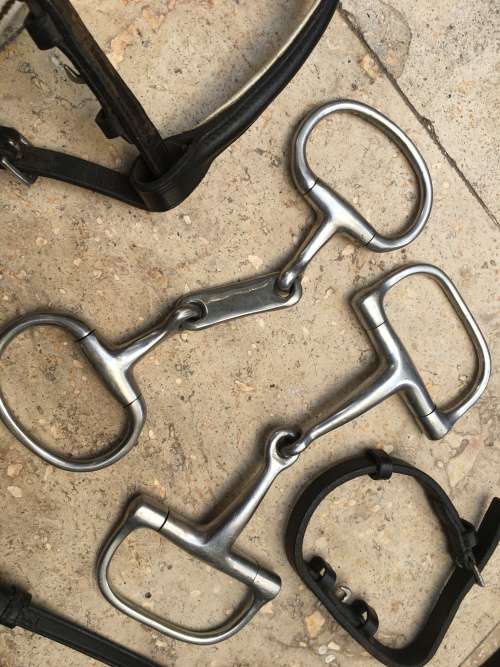 horse pelham bit straps and rope with other stuff for horse or pony