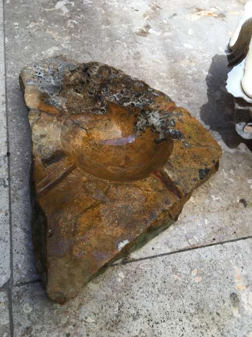 giant clam sea shell fluted on precious stone base , medium