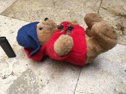 vintage paddington bear by eden
