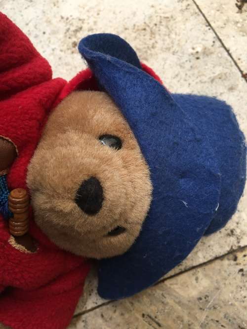 vintage paddington bear by eden