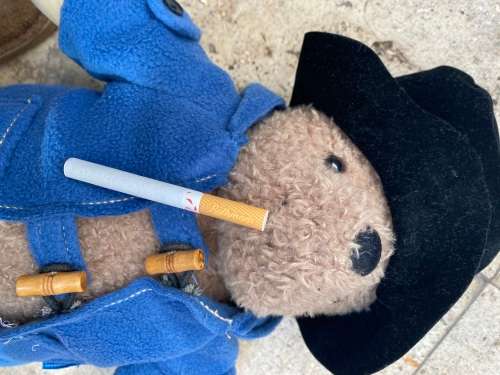 vintage Paddington bear doll medium size by Rainbow 2007