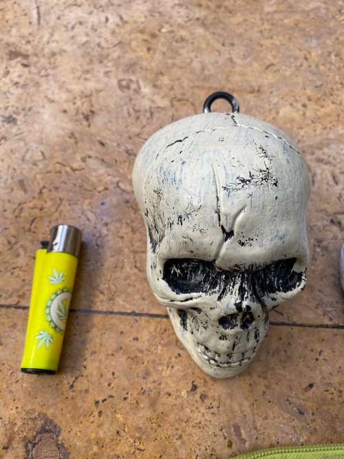 pvc skull rubber brain with Zombie Zombies pencil case set