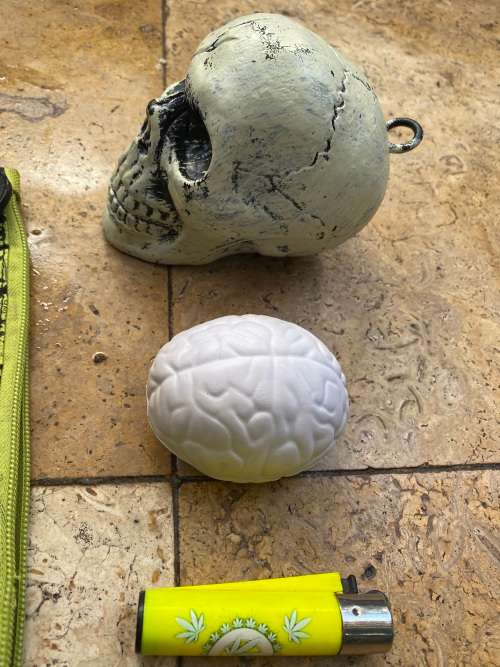 pvc skull rubber brain with Zombie Zombies pencil case set