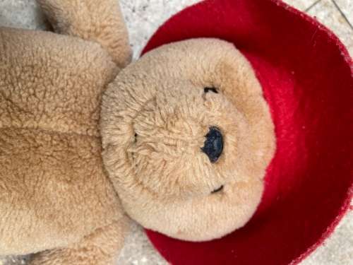 paddington bear doll  by rainbow no jacket red hat