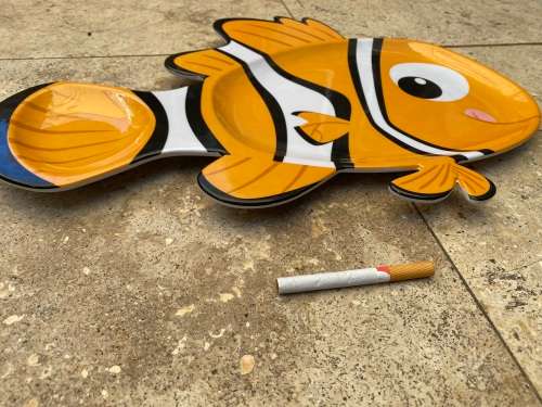 disney store rare nemo melamine compartment fish plate platter