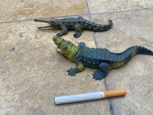 vintage pair of schleich crocodile aligator wild life figure figures 1999
