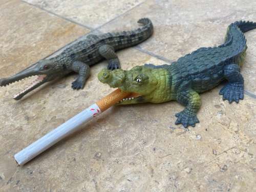 vintage pair of schleich crocodile aligator wild life figure figures 1999