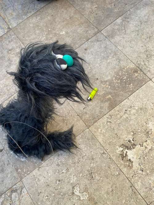 Large Shaggy Fuzzy Monster Walking Puppet black
