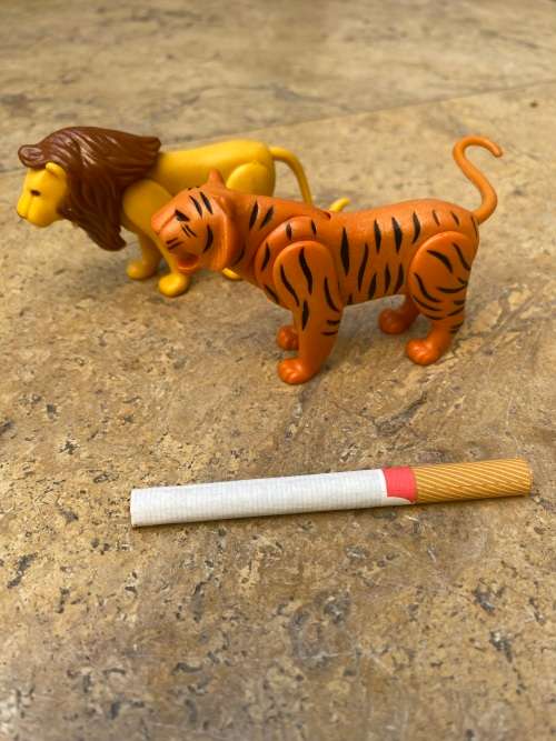 playmobil lion and tiger pair