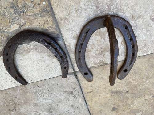 vintage horse shoe coat hook with random horseshoe