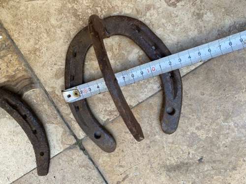 vintage horse shoe coat hook with random horseshoe