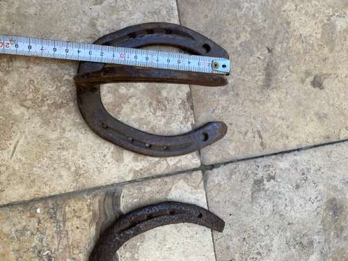 vintage horse shoe coat hook with random horseshoe