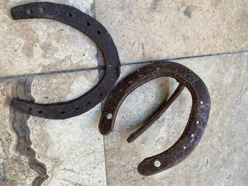 vintage horse shoe coat hook with random horseshoe