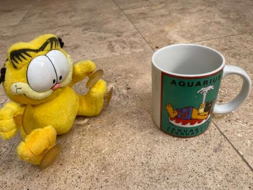 vintage Garfield Aquarius coffee mug and garfield suction doll