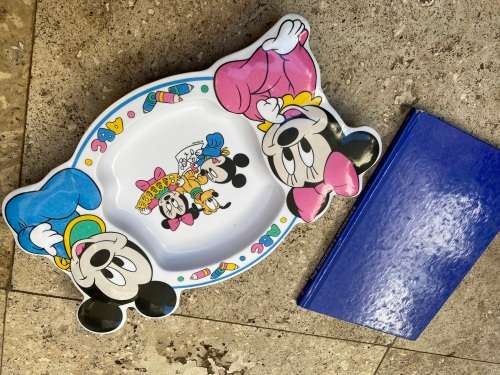 disney the sorcerers apprentice book  with lunch plate mickey mouse