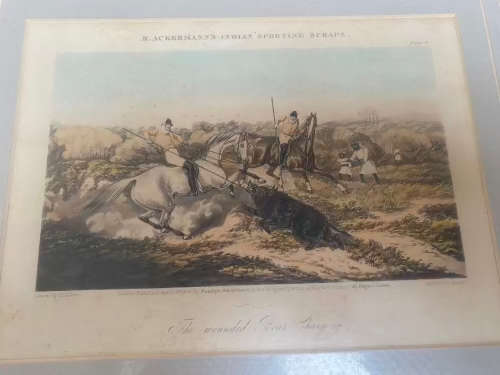 Rudolf Akermann  pair of vintage prints of indian sporting scenes 1850