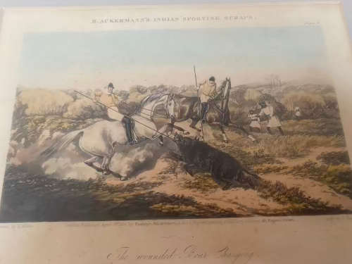 Rudolf Akermann  pair of vintage prints of indian sporting scenes 1850