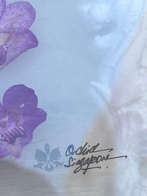 preserved orchid paperweight merlon design Singapore