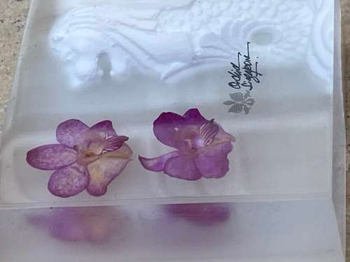 preserved orchid paperweight merlon design Singapore