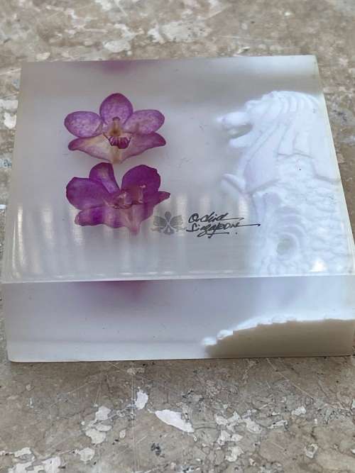 preserved orchid paperweight merlon design Singapore