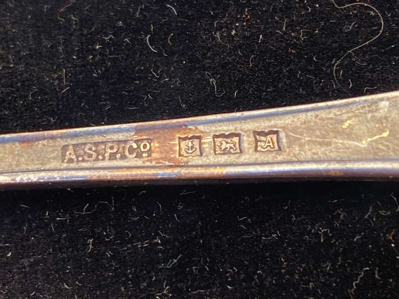 Hallmarked Sterling silver spoon 19 g in case