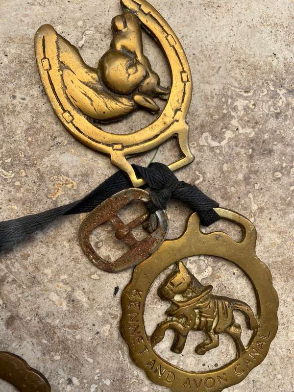 Horse brass lot of 6