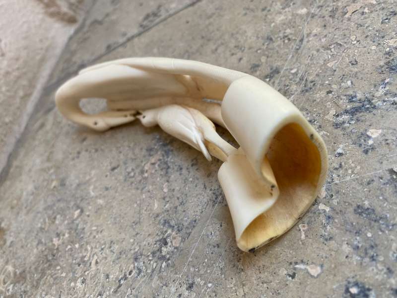 Vintage hand carved bone heron crane bird mother and baby bird feeding figurine
